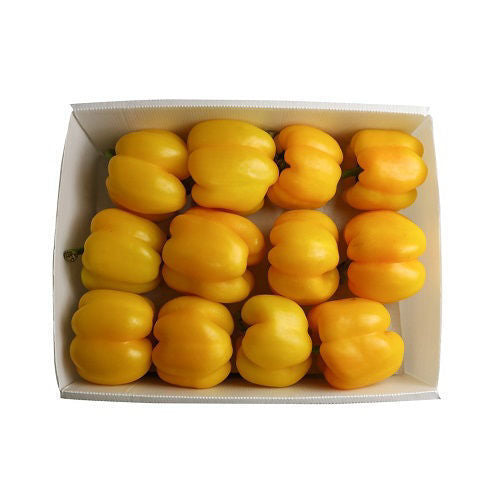 Capsicum Yellow Box 4kg Oman 🇴🇲