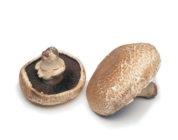Mushroom Portabella
(Netherlands)🇳🇱
Approx 2-3 piece per 500gm