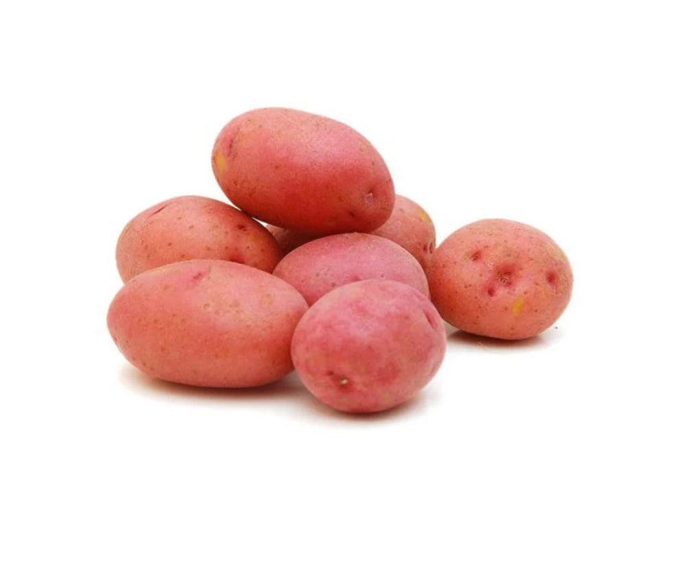 Potato Red(pakistan)
2.5 Kg