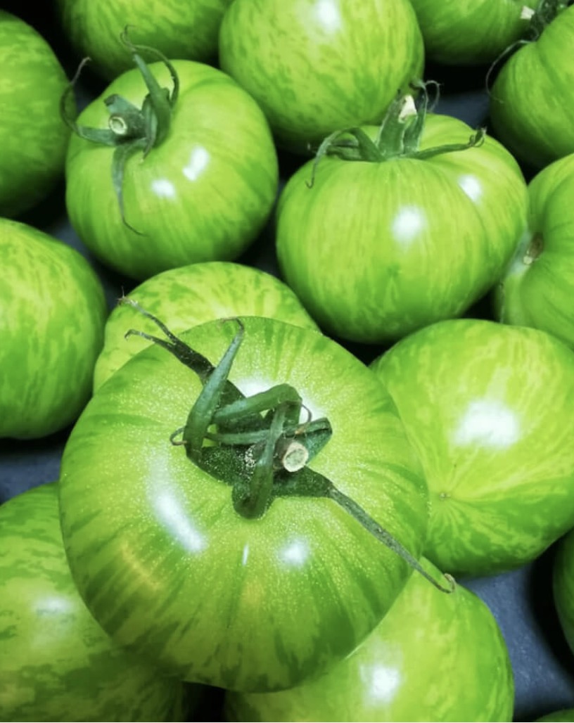 Green tomatoes 500g Italy 🇮🇹