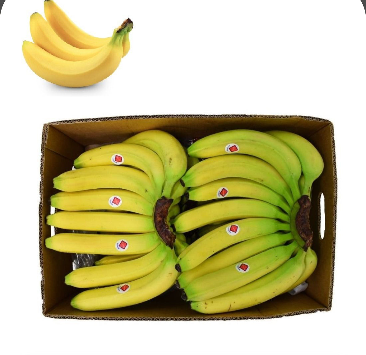 Banana box 13 kg Ecuador)🇪🇨