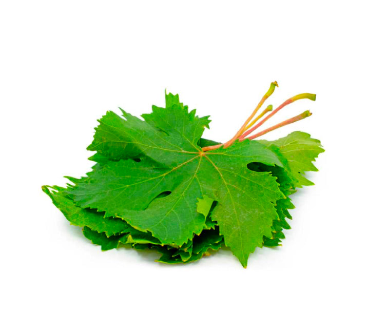 Grapes Leave
(Lebanon)🇱🇧
Approx 250gm per packet