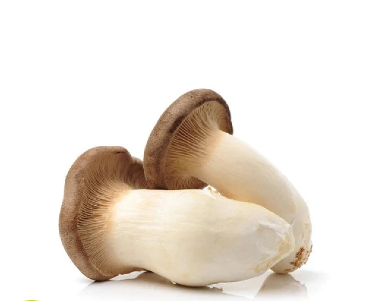 King Oyster Mushroom
(China)🇨🇳
Approx 150 gm per packet
