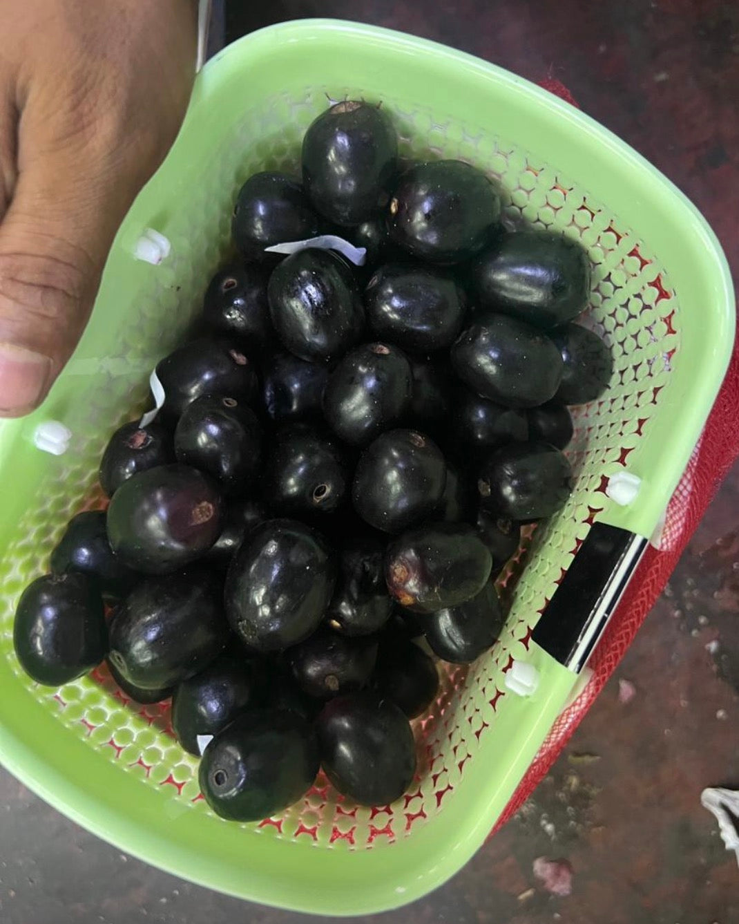 Jamun (1kg) Pakistan 🇵🇰
