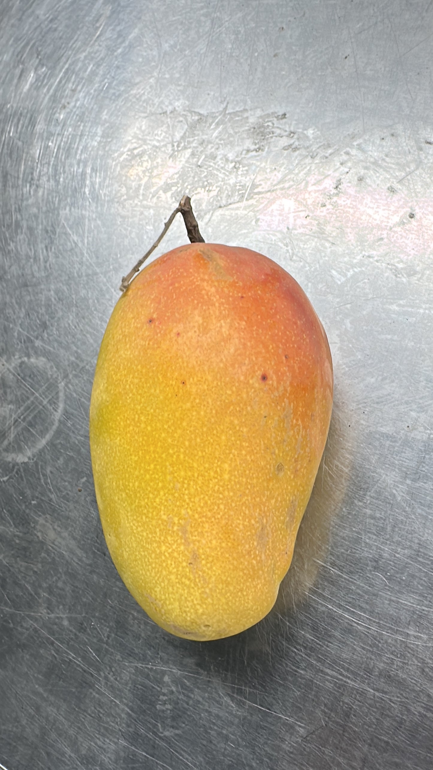 Mango Taimoor 1 box 2.2-2.4 kg Yemen πΎπͺ
