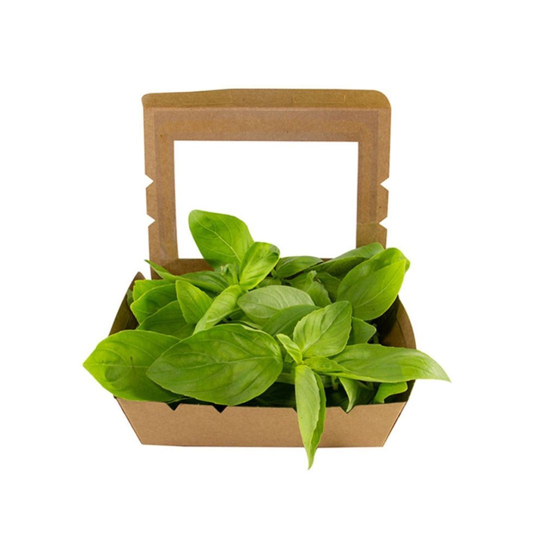 Basil Premium 20g UAE 🇦🇪