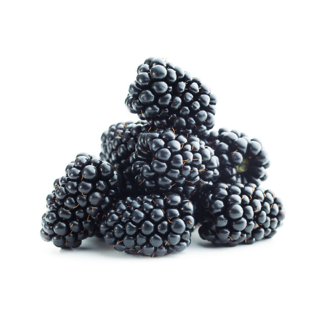 Blackberry 125g Portugal 🇵🇹