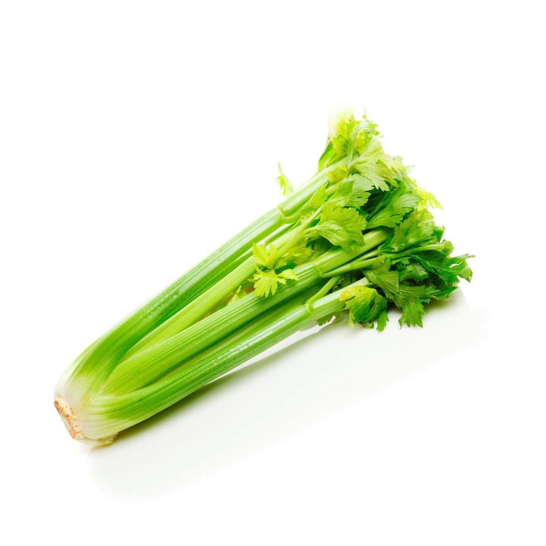 Celery Stick 1 kg China 🇨🇳