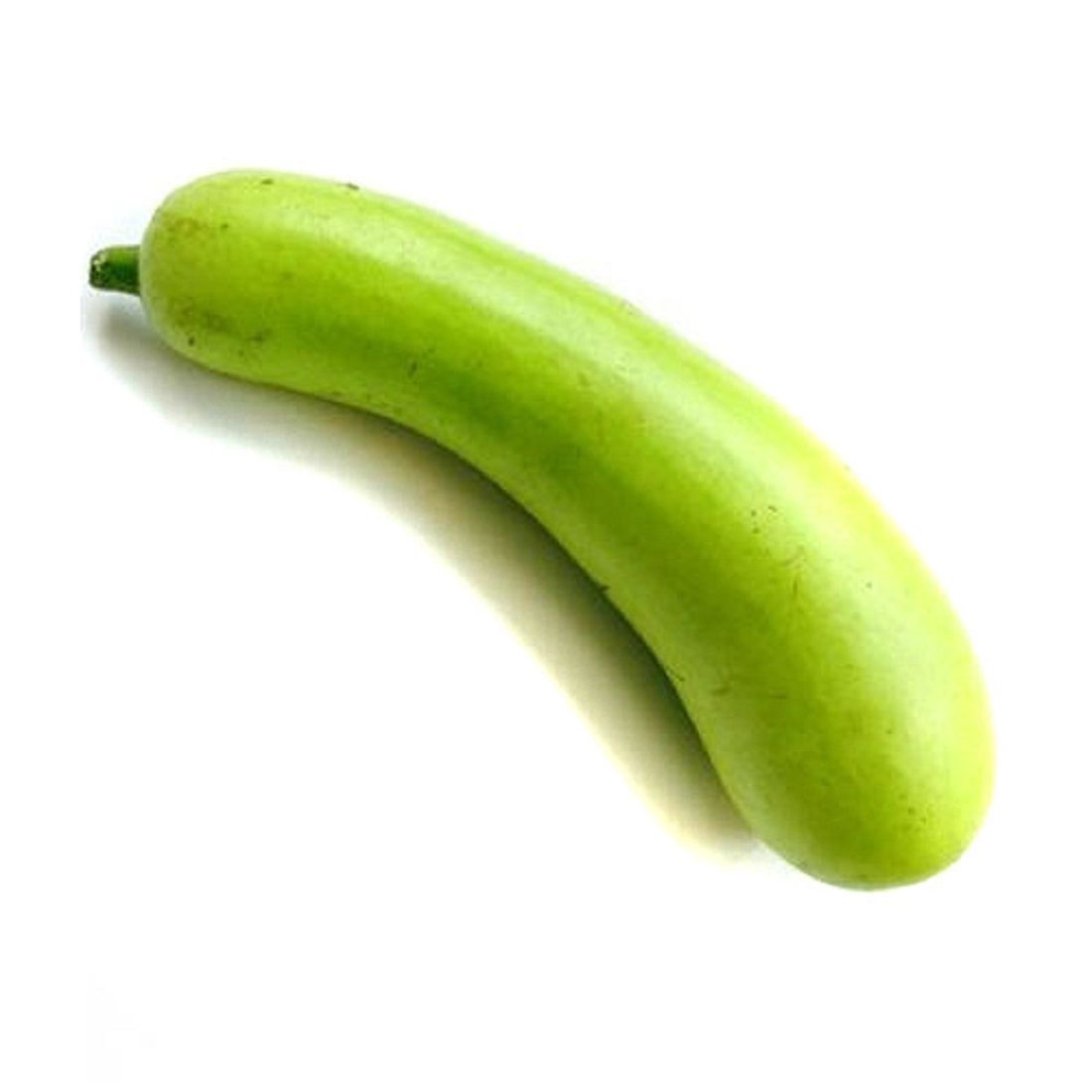 Bottle Gourd (Lauki/Dudhi) 500-700g by air Pakistan 🇵🇰