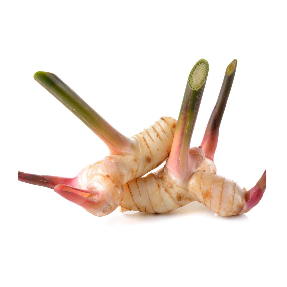 Galanga (Galangal. Size: 200g Thailand 🇹🇭