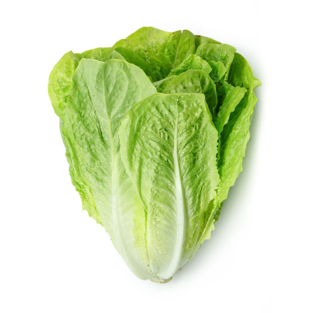 Lettuce Romaine 350-450g Size: 1 piece 🇴🇲