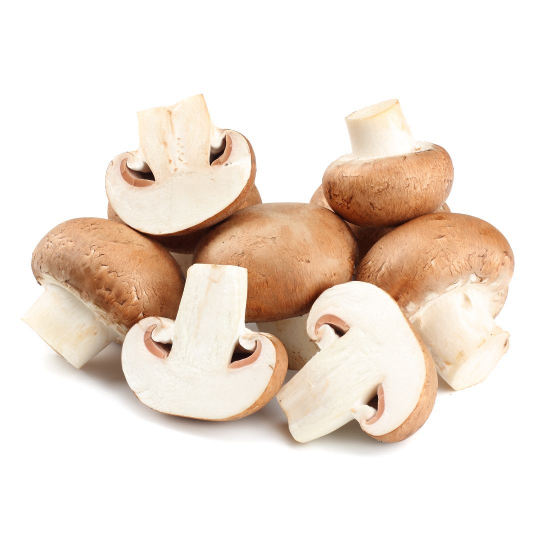 Mushroom Brown Size: 250g Holland 🇳🇱