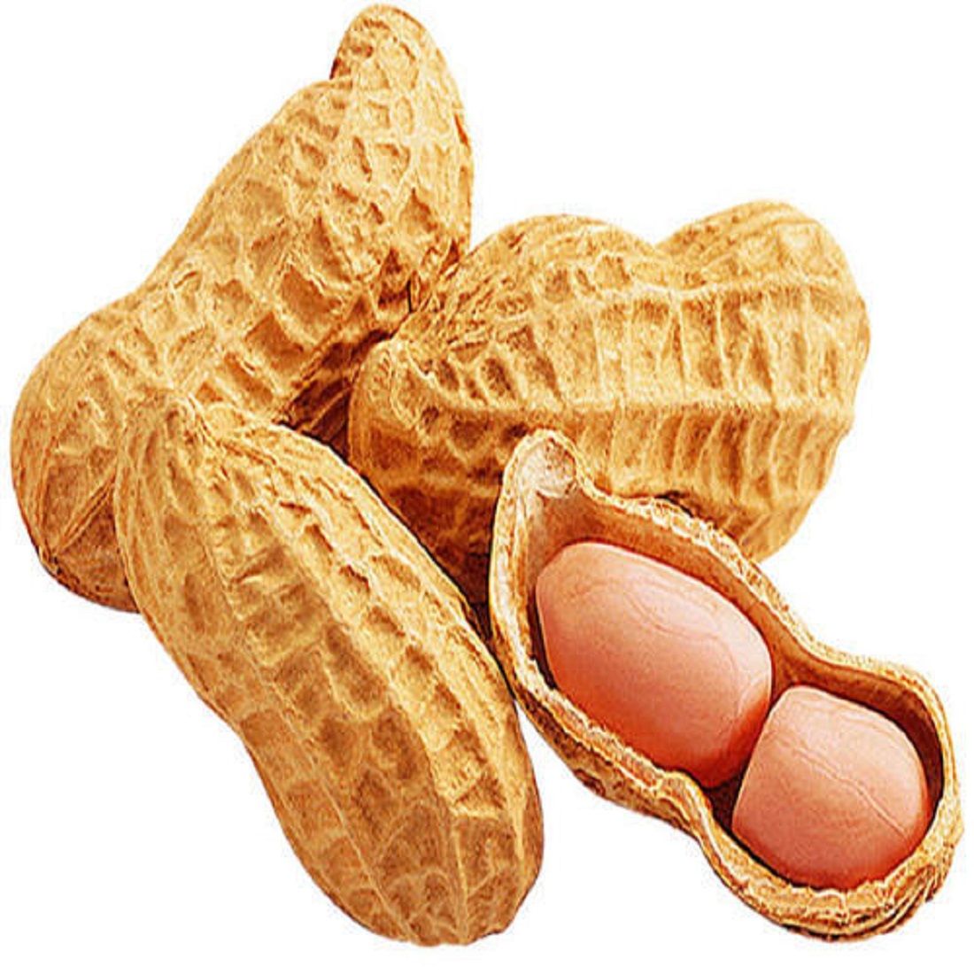 Peanuts With Shell Size: 250g india 🇮🇳