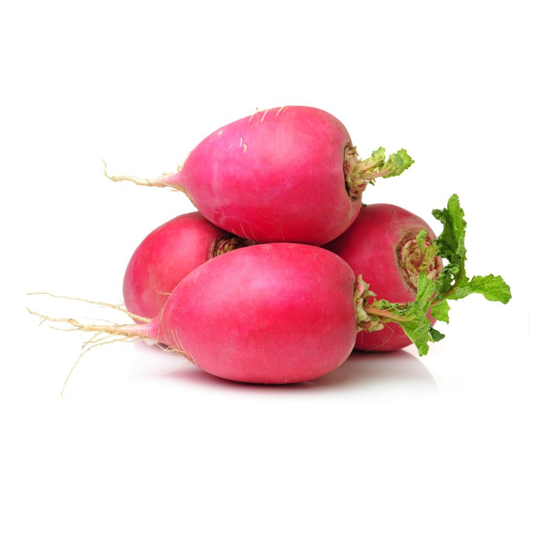 Radish Red. Size: 1 pack ~250g holland 🇳🇱