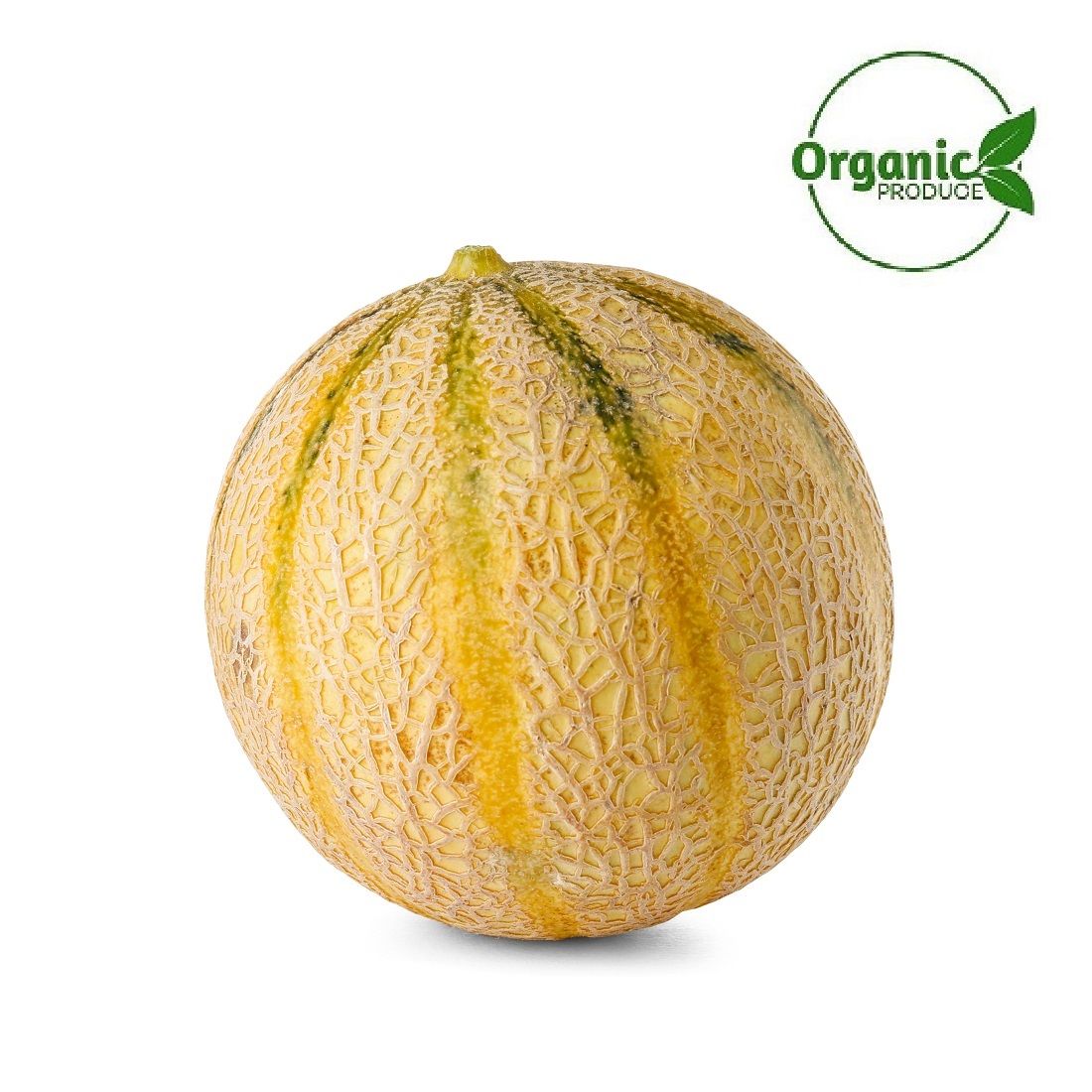 Melon Cantalope Organic 0.8 - 1.1Kg. India 🇮🇳