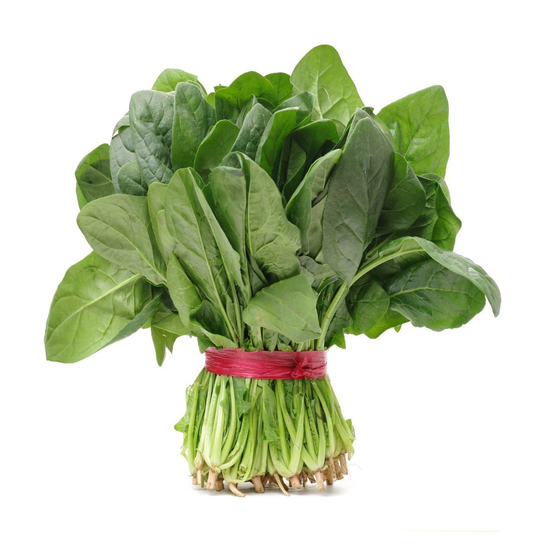 Spinach (Palak) 400G UAE 🇦🇪