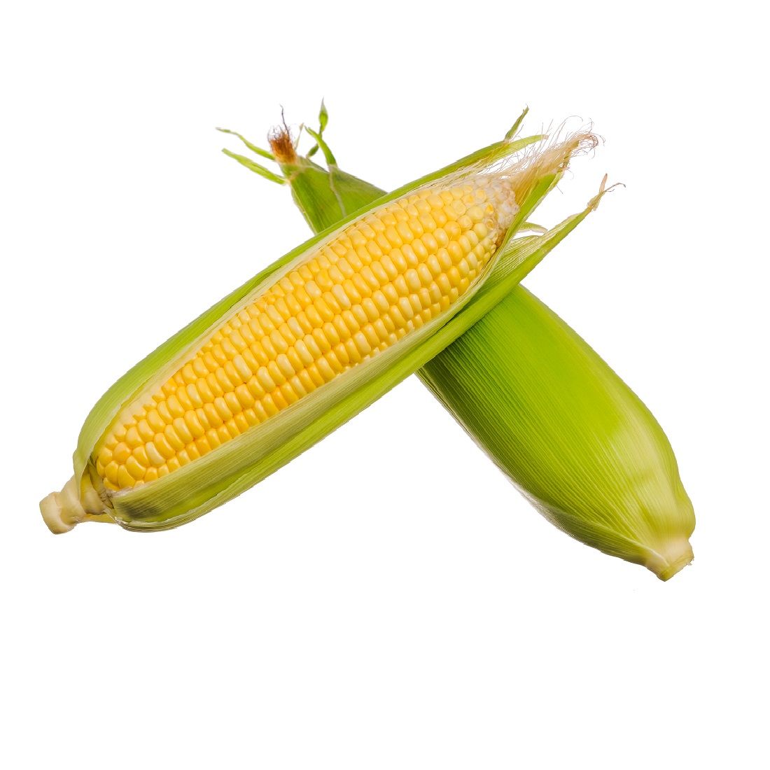 Sweet Corn 550-650g 2 pack UAE 🇦🇪