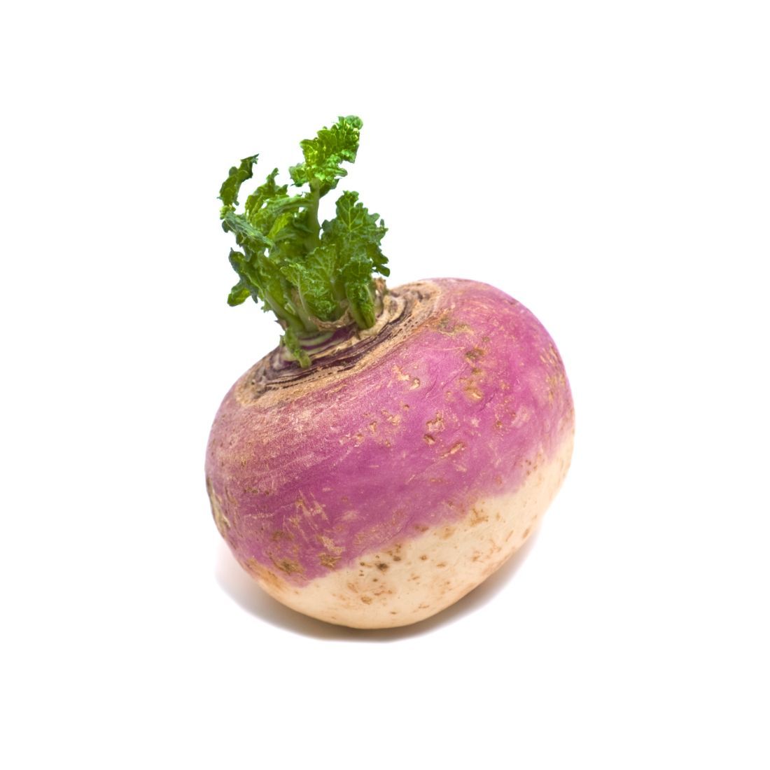 Turnips. Size: 1kg Oman 🇴🇲