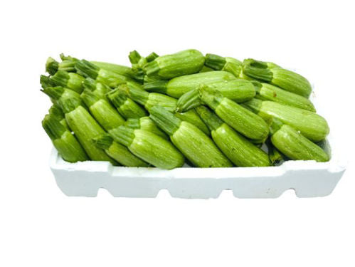 Marrow Box Approx 5kg UAE 🇦🇪