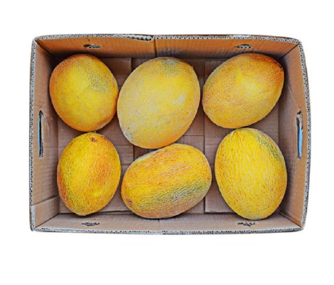 Sweet melon 10 kg  Oman 🇴🇲