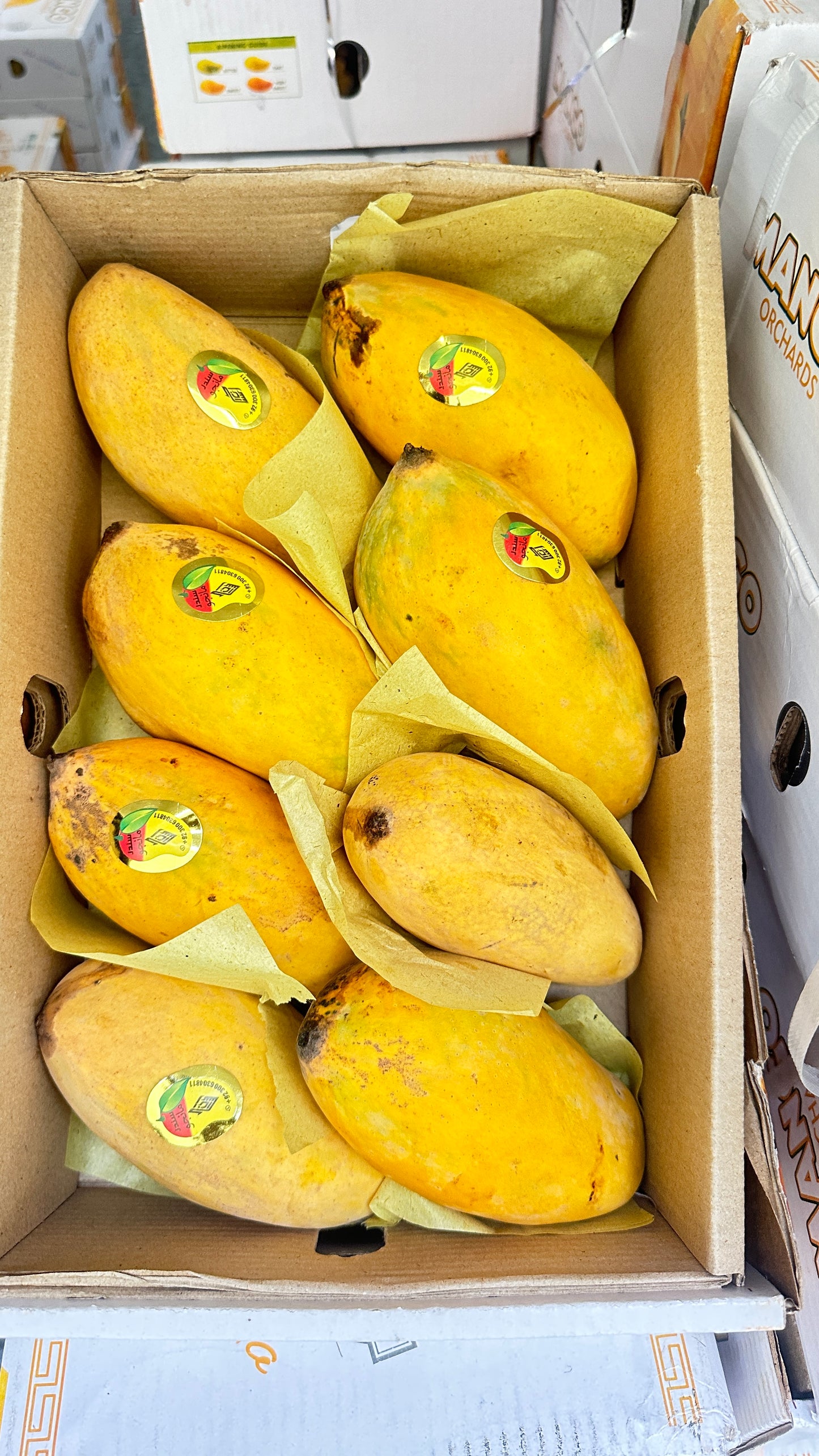 Mango sindhri (2.5kg) by air Pakistan 🇵🇰