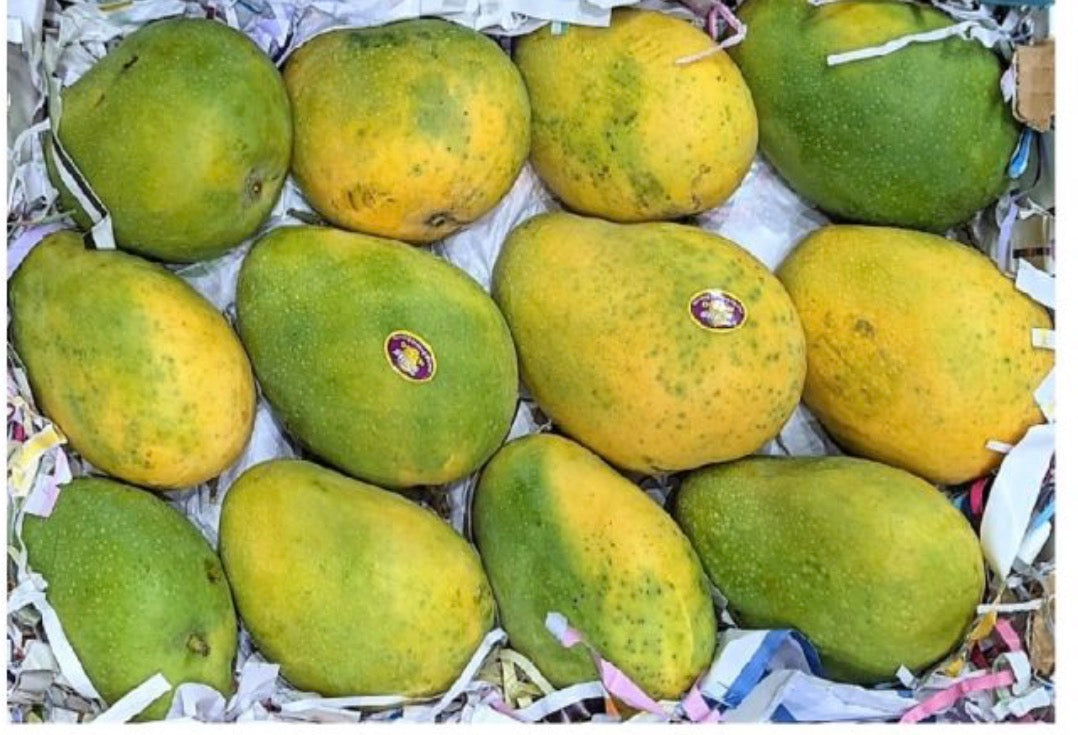 Mango Badami (3kg) India 🇮🇳