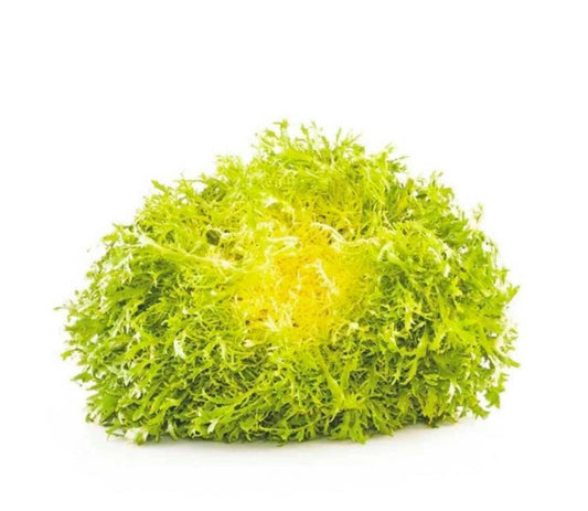 Yellow Lettuce Frisee per piece

(Netherlands)🇳🇱