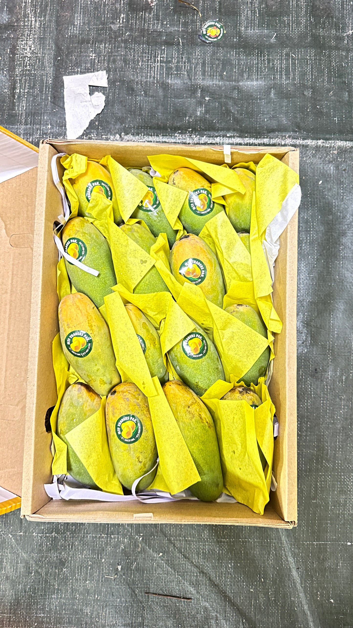 Mango Dasheri (3.2kg) by air Pakistan
