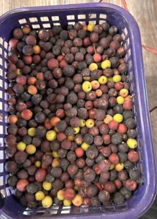 Falsa (1kg) Pakistan
