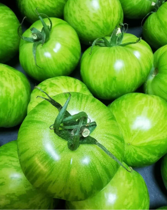 Green tomatoes 500g Italy 🇮🇹