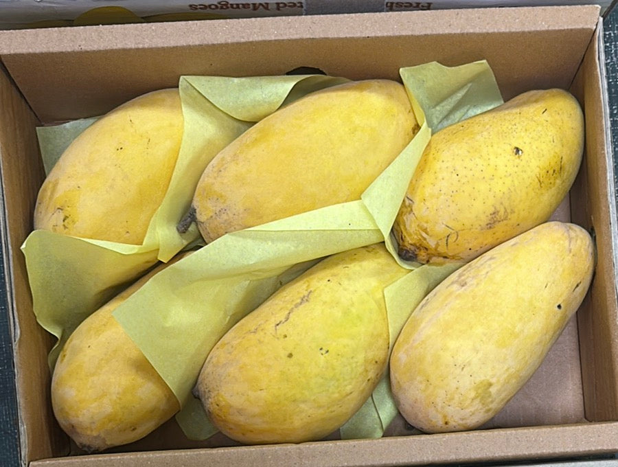 Mango Sindhri (2.5kg) Pakistan 🇵🇰