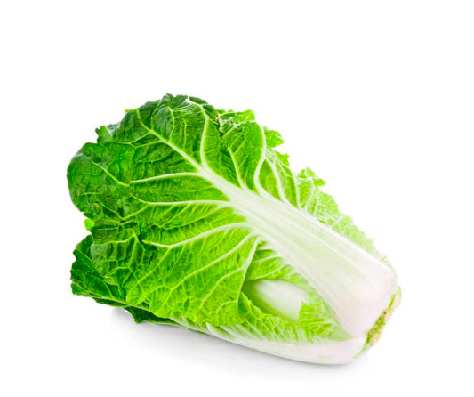 Cabbage Chinese
(Netherlands)🇳🇱 
Approx 900gm-1200gm per piece