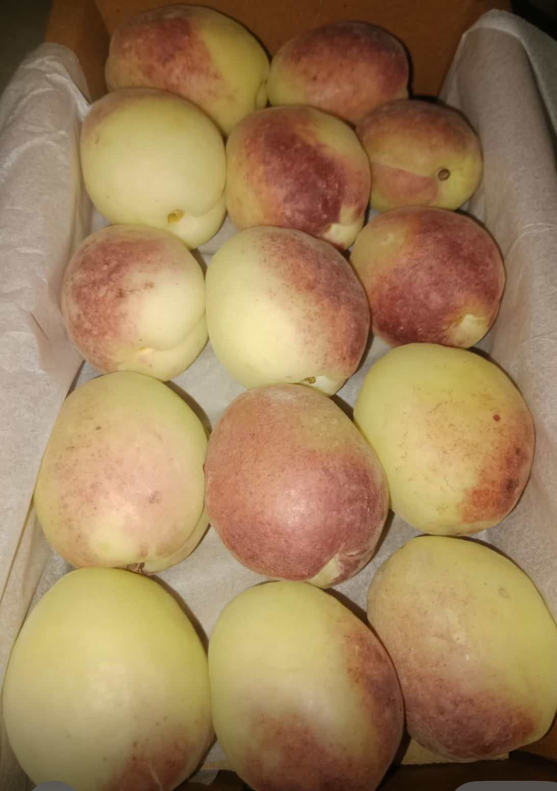 Apricot 500G Afghanistan 🇦🇫