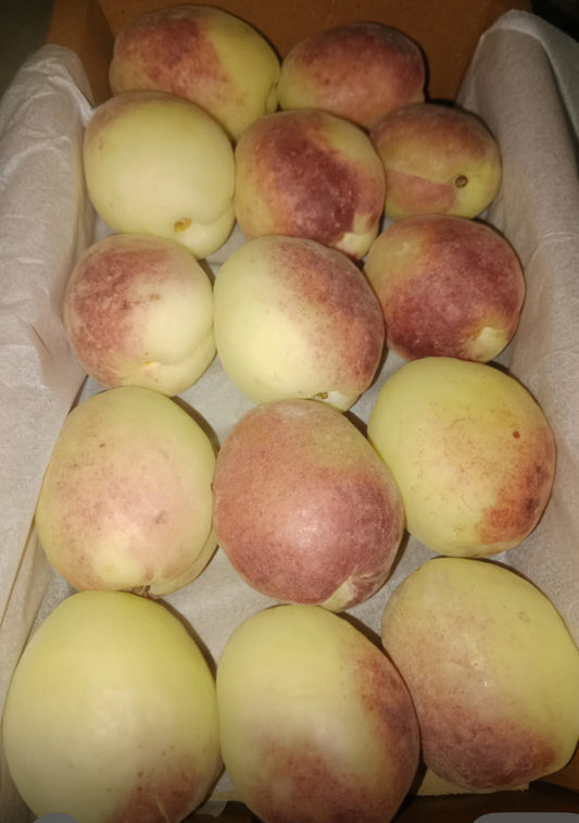 Apricot 500G Afghanistan 🇦🇫
