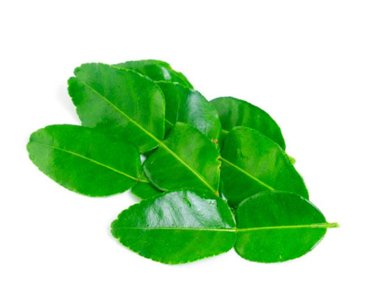 Lime Leaves

(Thailand)🇹🇭 
Approx 250gm per packet