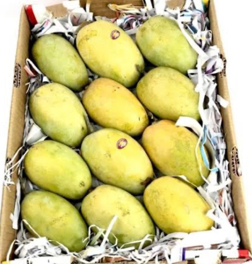 Kesar mango (3kg) India 🇮🇳