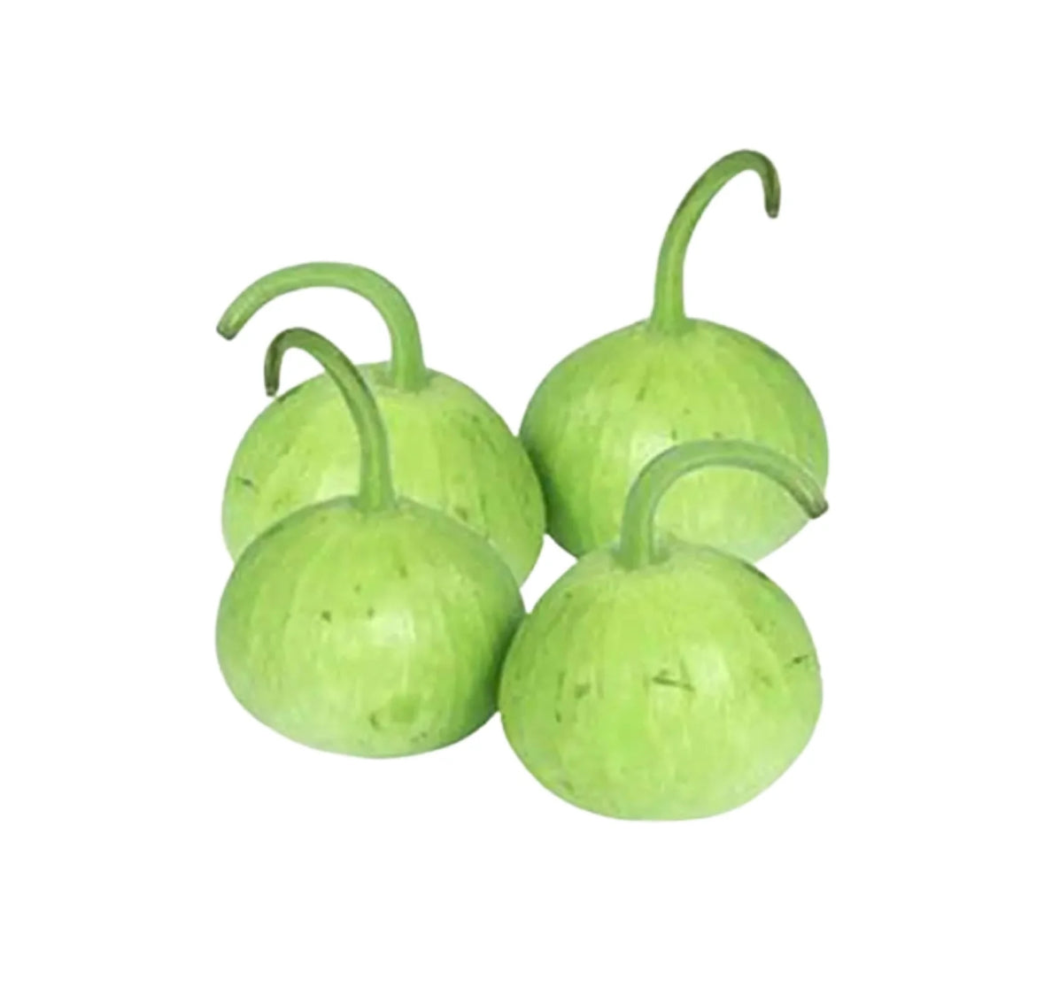 Pumpkin Round (Kaddu)500G  by air (pakistan)🇵🇰
