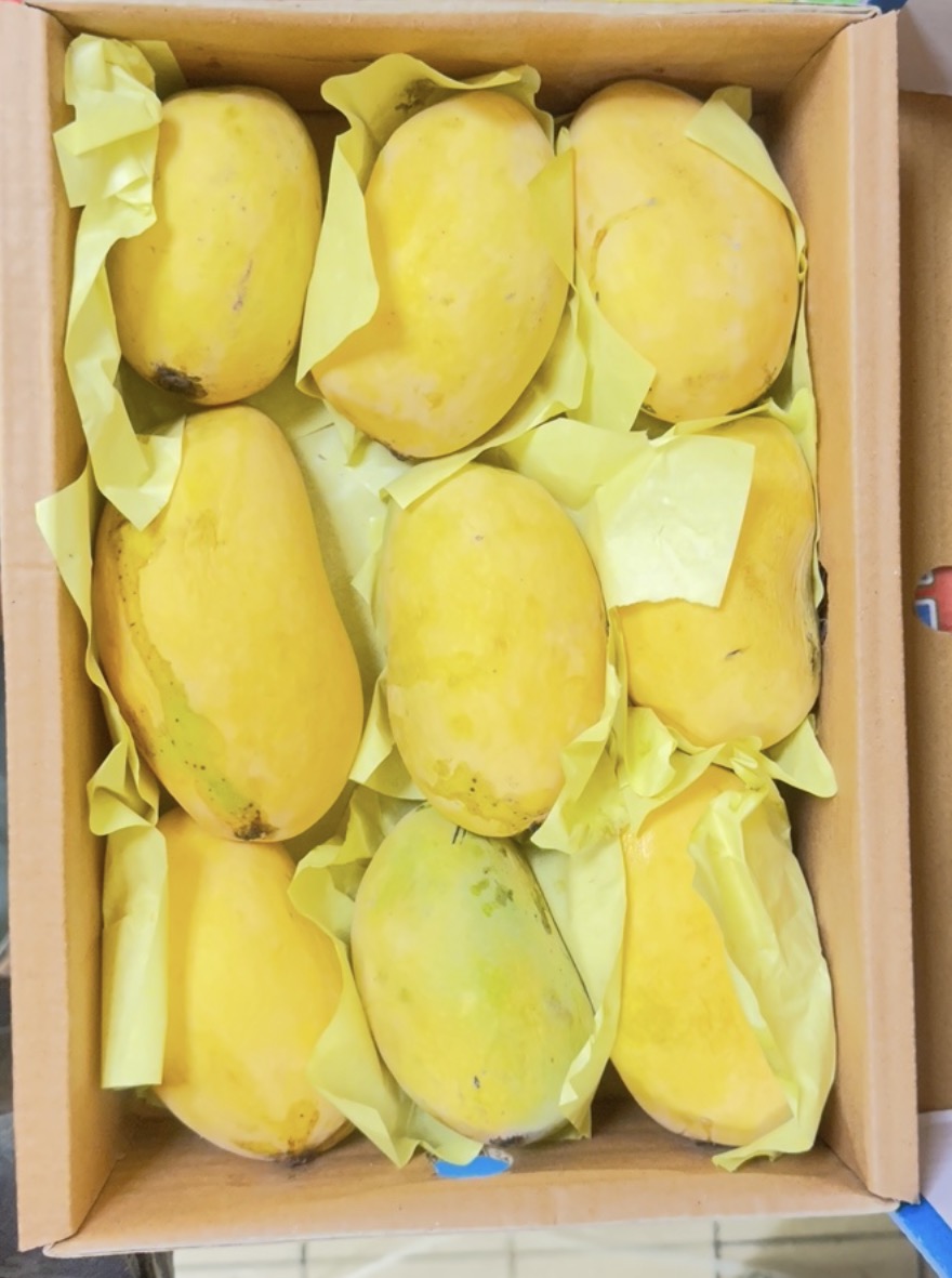 Mango chunca (2.5kg) Pakistan 🇵🇰