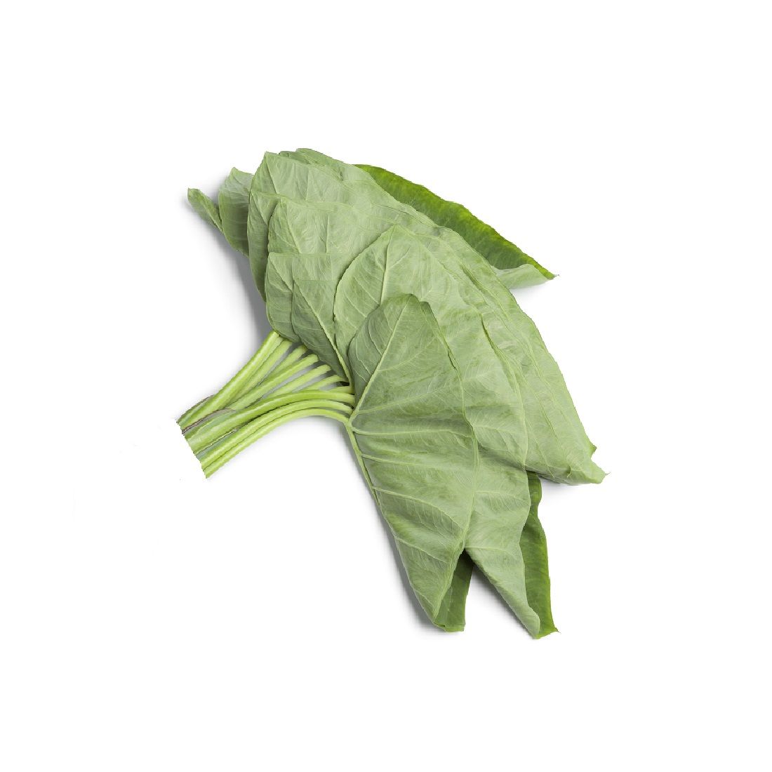 Arvi Patha (Taro Leaves)  250g india 🇮🇳