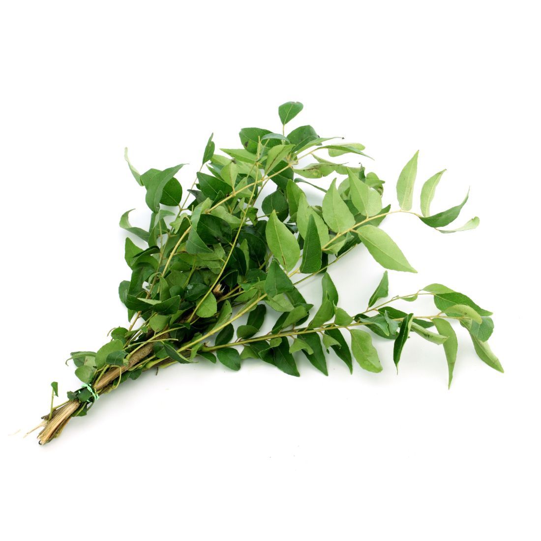 Curry Leaves   Size: 300 g Sri Lanka 🇱🇰