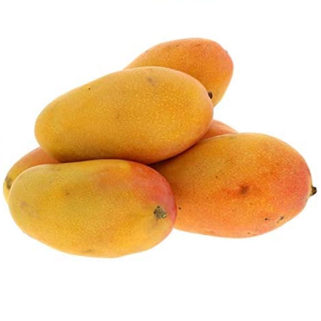 Mango anwar ratol