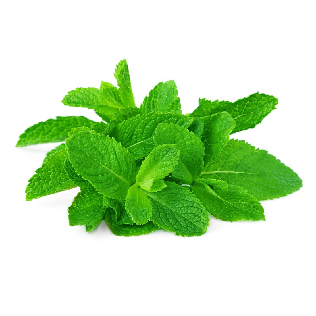 Mint Leaves  Size: 250 g Oman 🇴🇲