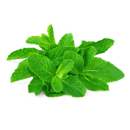 Mint Leaves  Size: 250 g Oman 🇴🇲