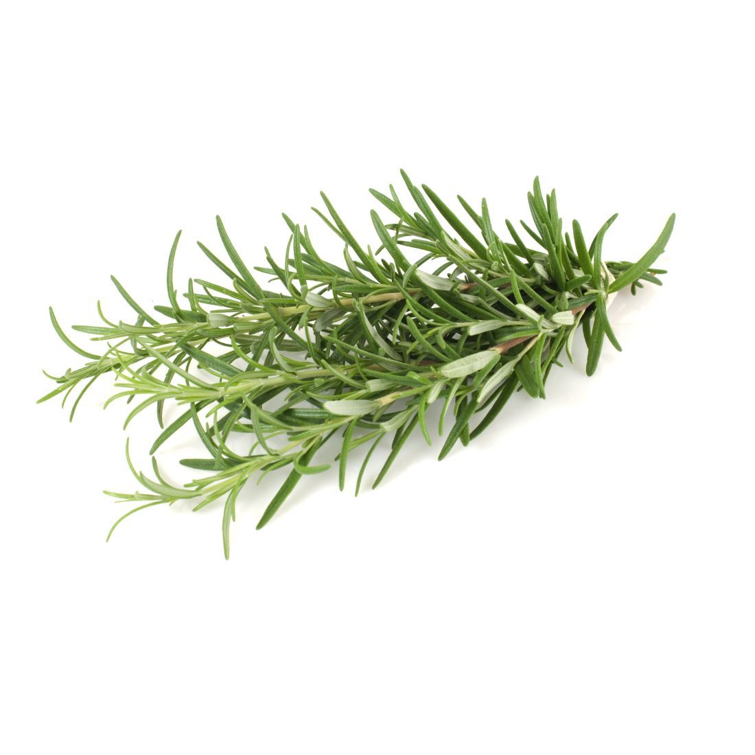 Rosemary  20g UAE 🇦🇪