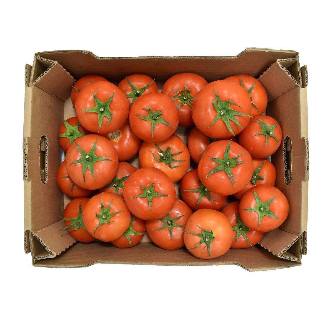Tomato  5-6 kg iran 🇮🇷